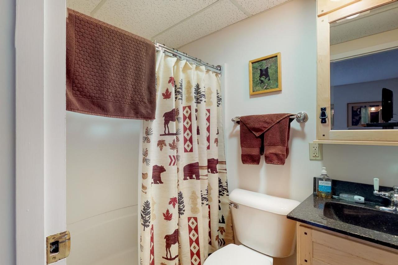 Squaw Village Condo Грийнвил Стая снимка